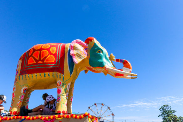Colourful painted elephant sculptures at Camp Festival