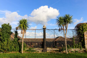 Palm trees in the garden of Louisa Lodge, Swanage