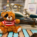 Dorset pirate teddy, Swanage Curiosity